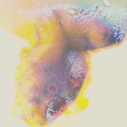 Abstract artistic composition with vibrant colors representing transparent tracking